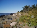 Rugged natural shoreline
